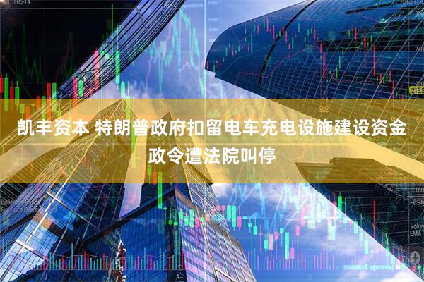 凯丰资本 特朗普政府扣留电车充电设施建设资金政令遭法院叫停