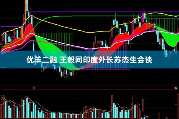 优羊二融 王毅同印度外长苏杰生会谈