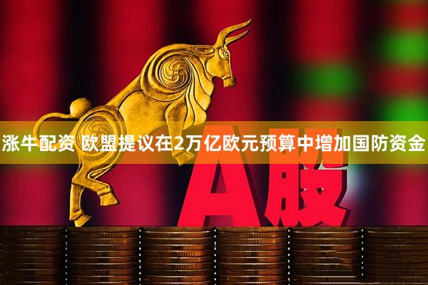 涨牛配资 欧盟提议在2万亿欧元预算中增加国防资金