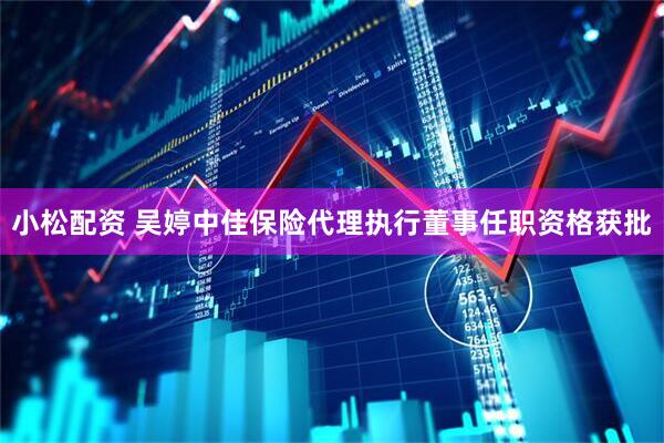 小松配资 吴婷中佳保险代理执行董事任职资格获批