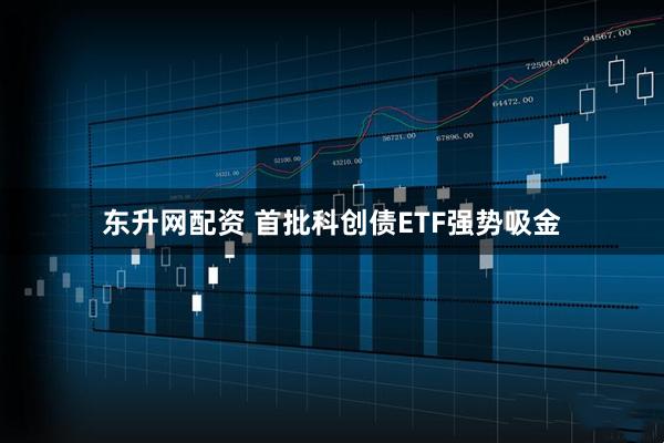 东升网配资 首批科创债ETF强势吸金