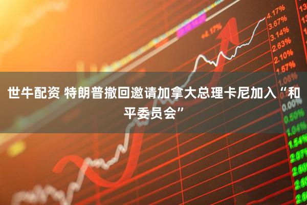世牛配资 特朗普撤回邀请加拿大总理卡尼加入“和平委员会”