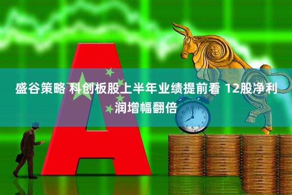 盛谷策略 科创板股上半年业绩提前看 12股净利润增幅翻倍